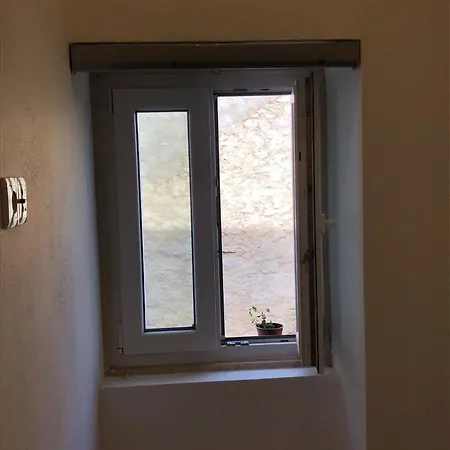 Consciencia Viva 3* Encarnacao