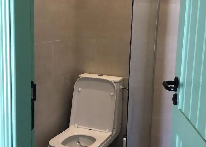 Consciencia Viva ベッド・アンド・ブレックファスト Encarnacao