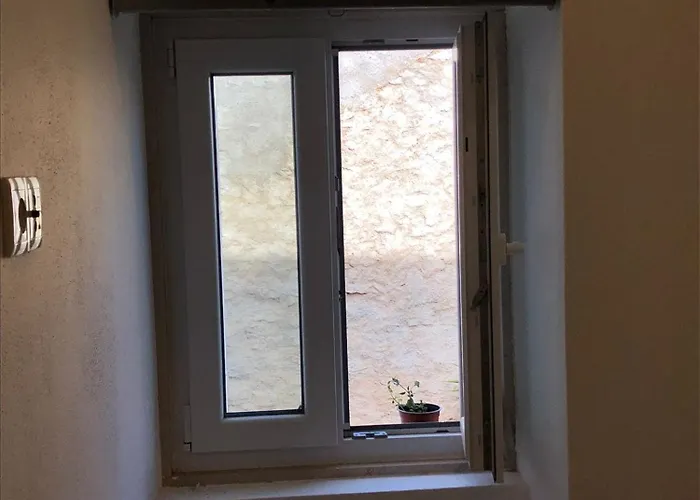 Consciencia Viva 3* Encarnacao