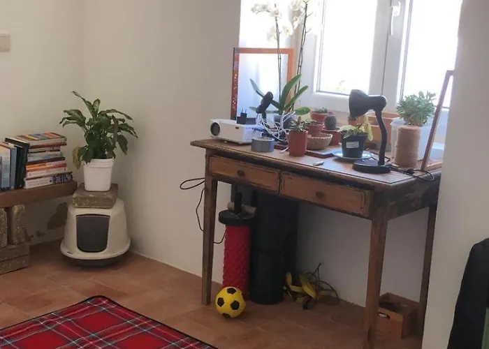 ベッド・アンド・ブレックファスト Consciencia Viva Encarnacao