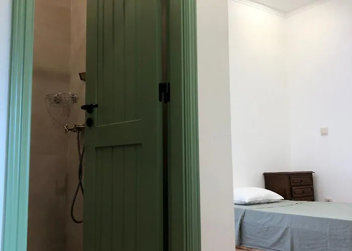 Consciencia Viva Encarnacao