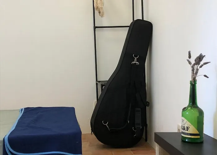 ベッド・アンド・ブレックファスト Consciencia Viva 3*