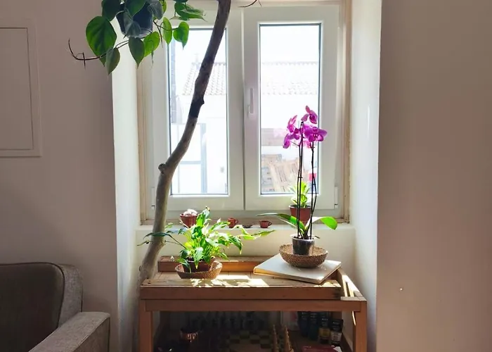 Consciencia Viva ベッド・アンド・ブレックファスト